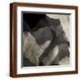 Brown Frame