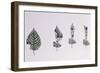 Hazel Leaf-Roller-null-Framed Giclee Print