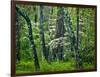 Hazel Mountain Overlook, Virginia, USA-Jay O'brien-Framed Photographic Print