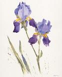 Irises in the Hotel Dieu-Hazel Soan-Giclee Print