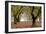 Hazel Tree Grove I-Erin Berzel-Framed Premium Photographic Print