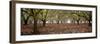 Hazel Tree Grove Pano I-Erin Berzel-Framed Photographic Print