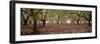 Hazel Tree Grove Pano I-Erin Berzel-Framed Photographic Print