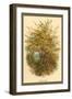 Hazel Tree-W.h.j. Boot-Framed Art Print