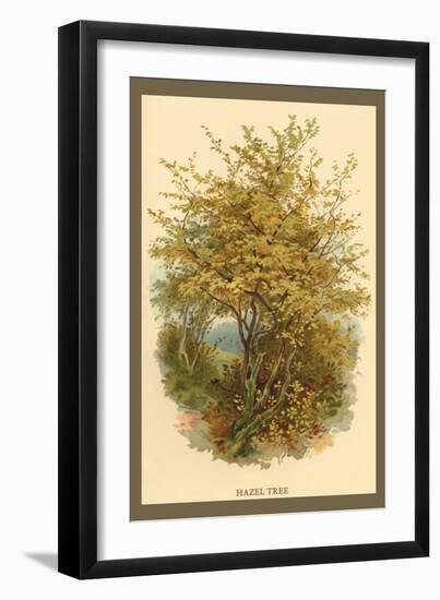 Hazel Tree-W.h.j. Boot-Framed Art Print