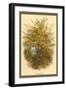 Hazel Tree-W.h.j. Boot-Framed Art Print