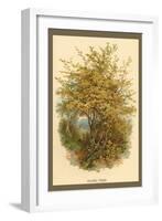 Hazel Tree-W.h.j. Boot-Framed Art Print