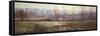 Hazelmere Forest-Sharalee Lewis-Framed Stretched Canvas