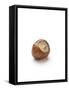 Hazelnut-Jon Stokes-Framed Stretched Canvas