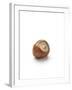 Hazelnut-Jon Stokes-Framed Photographic Print