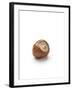 Hazelnut-Jon Stokes-Framed Photographic Print