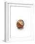 Hazelnut-Jon Stokes-Framed Photographic Print