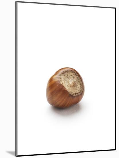 Hazelnut-Jon Stokes-Mounted Photographic Print