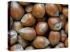 Hazelnuts, Belgium-Philippe Clement-Stretched Canvas