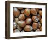 Hazelnuts, Belgium-Philippe Clement-Framed Photographic Print