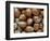 Hazelnuts, Belgium-Philippe Clement-Framed Photographic Print