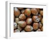 Hazelnuts, Belgium-Philippe Clement-Framed Photographic Print