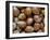 Hazelnuts, Belgium-Philippe Clement-Framed Photographic Print