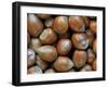 Hazelnuts, Belgium-Philippe Clement-Framed Photographic Print