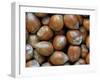 Hazelnuts, Belgium-Philippe Clement-Framed Photographic Print