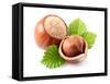Hazelnuts with Leaves-dionisvera-Framed Stretched Canvas