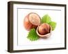 Hazelnuts with Leaves-dionisvera-Framed Photographic Print