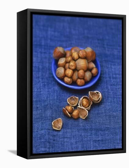 Hazelnuts-Akiko Ida-Framed Stretched Canvas