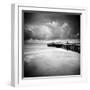 Hazelshark-Craig Roberts-Framed Photographic Print