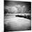 Hazelshark-Craig Roberts-Mounted Photographic Print