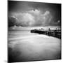 Hazelshark-Craig Roberts-Mounted Photographic Print