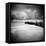 Hazelshark-Craig Roberts-Framed Stretched Canvas