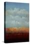 Hazy Afternoon Glow-Tim O'toole-Stretched Canvas