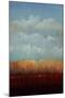 Hazy Afternoon Glow-Tim O'toole-Mounted Giclee Print