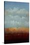 Hazy Afternoon Glow-Tim O'toole-Stretched Canvas