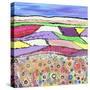 Hazy Sunny Afternoon-Caroline Duncan-Stretched Canvas