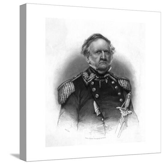Stretched Canvas Print, , large