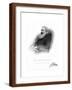 Brown Frame