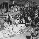 Fishermen Drying their Nets on the Beach, Basseterre, St Christopher, West Indies-HC White-Framed Photographic Print