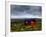 Hdr Image of a Croft, Hebrides, Scotland, UK-Nadia Isakova-Framed Photographic Print