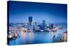 Hdr Image of Pittsburgh-BackyardProductions-Stretched Canvas