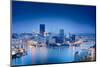 Hdr Image of Pittsburgh-BackyardProductions-Mounted Photographic Print