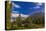 He Big Dipper over Castle Mountain, Banff National Park, Canada-null-Stretched Canvas