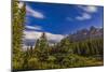 He Big Dipper over Castle Mountain, Banff National Park, Canada-null-Mounted Photographic Print