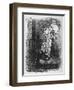 He Could Not Refrain from Shouting in Triumph., C1918-null-Framed Giclee Print