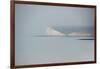 He Flies Alone-Valda Bailey-Framed Photographic Print