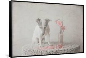 He loves me....he loves me not....-Heike Willers-Framed Stretched Canvas