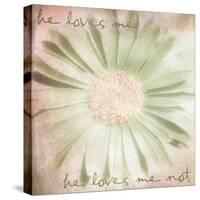 He Loves Me-Mindy Sommers-Stretched Canvas