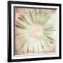 He Loves Me-Mindy Sommers-Framed Giclee Print