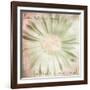 He Loves Me-Mindy Sommers-Framed Giclee Print