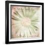 He Loves Me-Mindy Sommers-Framed Giclee Print